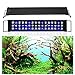EINFEBEN LED Aquarium Beleuchtung, Weiß Blau Licht 24W mit Verstellbarer Halterung für 50cm-80cm Aquarium