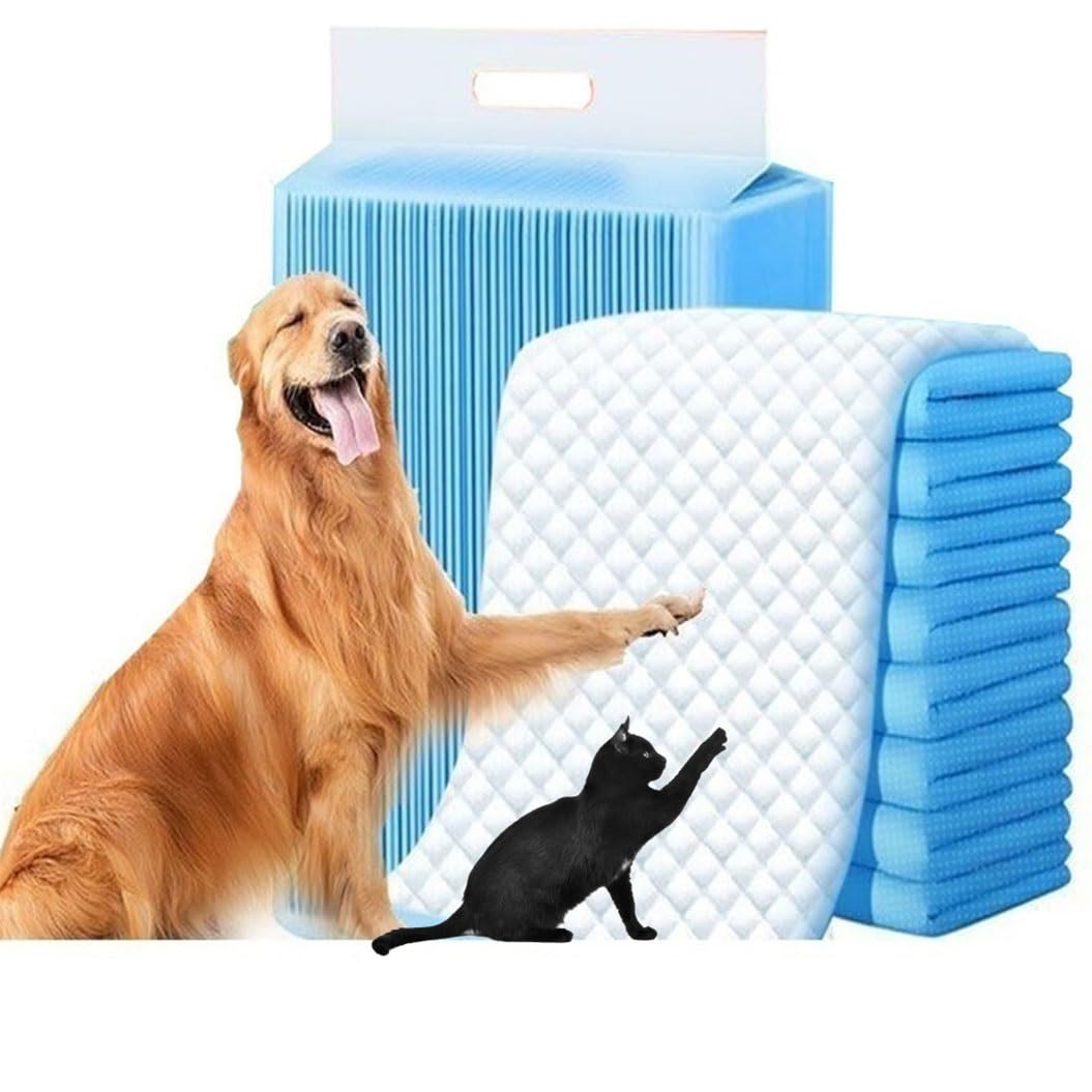 Tapis educateur chien anti-fuite à absorption rapide pour l'apprentissage de la propreté