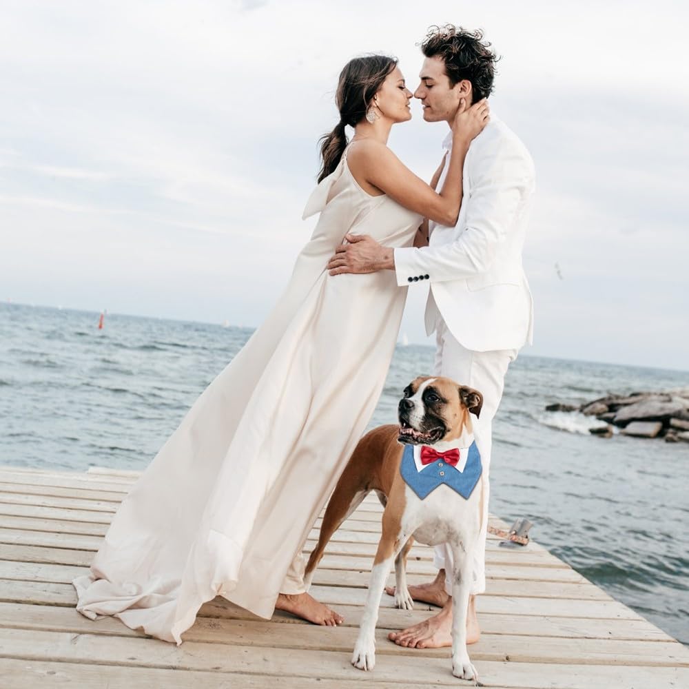 Bandana da Smoking per Cani, Collare Formale con Papillon Rosso per Cane di Piccola Media e Grande per Festa di Natale, Cosplay Matrimonio Compleanno Fidanzamento
