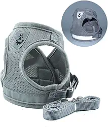 Coleira Peitoral para Cachorros e Gatos com Colete Reflexivo Regulável e Guia de Passeio (Cinza, P)