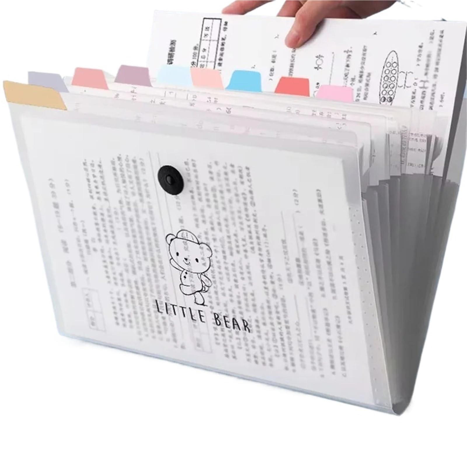 Carpeta Clasificadora Carpeta de archivos acordeón transparente | Bolsa impermeable for documentos A4, soporte de papel de prueba for oficina escolar(8 grids 12 grids-2)
