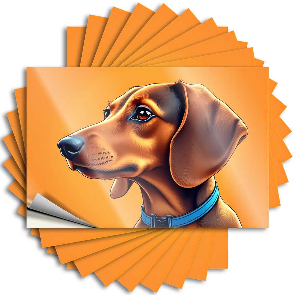 Quote - Sweet Window Adorable Dachshund with Blue Collar for Teacher Holiday(8X12CM)