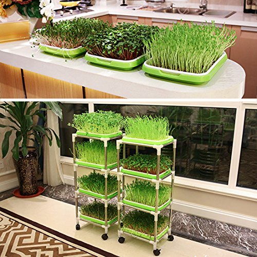 image for Seed Sprouter Tray, Yamix 2 Set Two-Tiered Seed Sprouter Tray Sprouter
