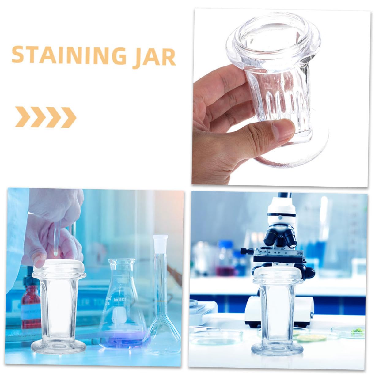 Alipis 3 Stück Glasdosen mit Deckel 60 Ml aus Klarem Glas Färbegefäß für 5 Objektträger Sichert Reagenzien für Labor und Forschungsanwendung