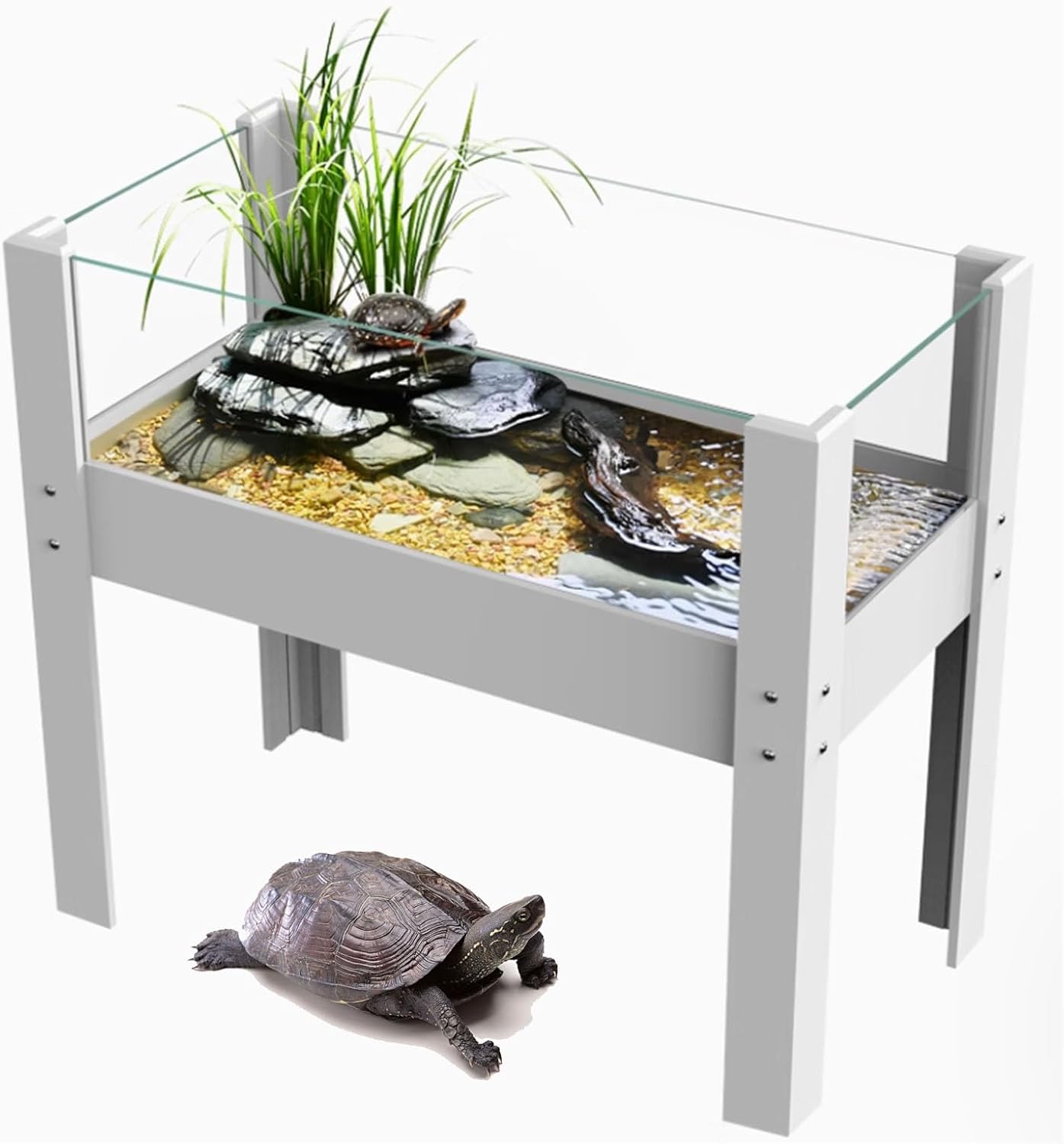 サユイセイ グラステラリウム4530 コンパクトトップセット サユイセイ