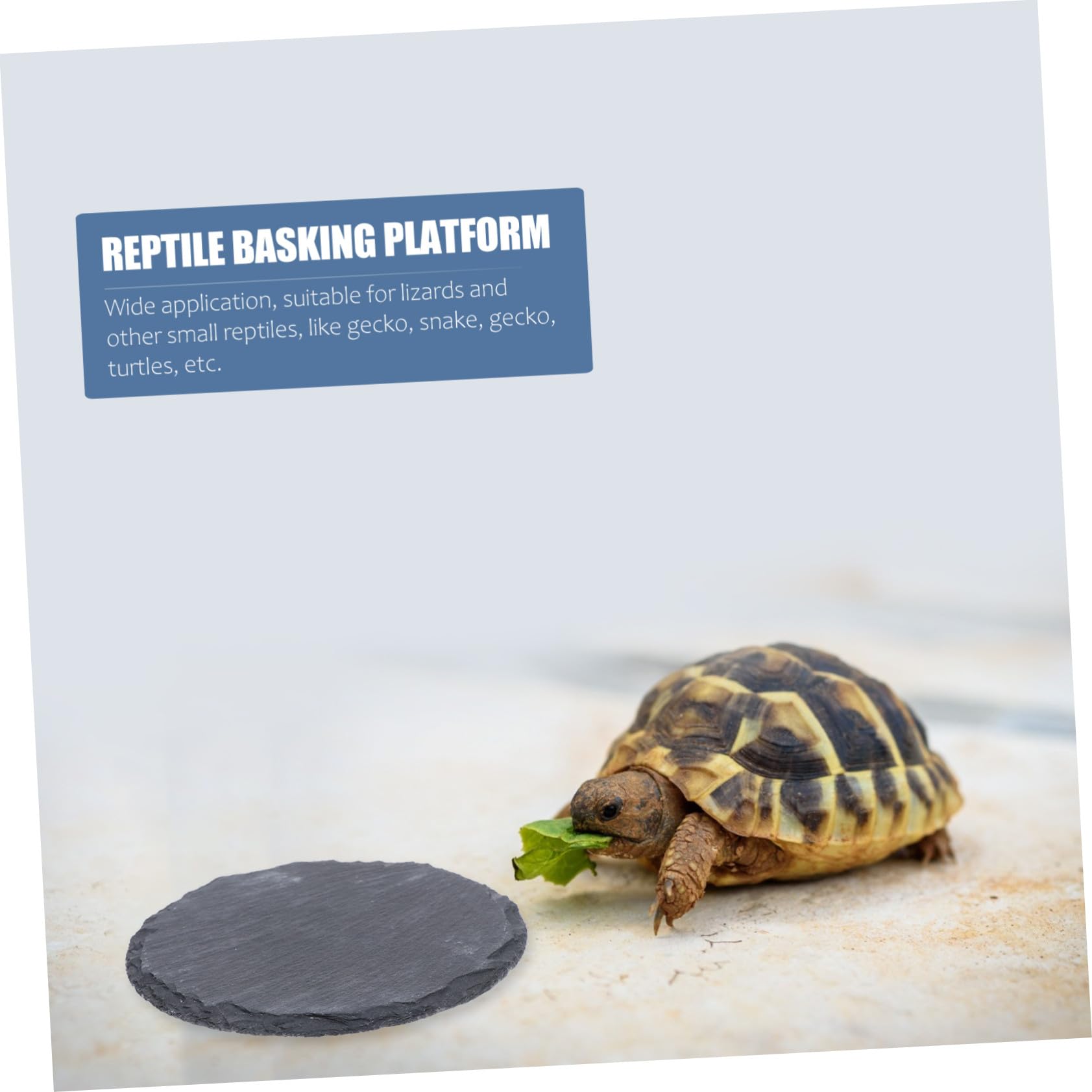 Pierre Plate pour Tortue et Reptile Plateforme Naturelle pour Bain de Soleil Mangeoire Décorative pour Lézard Gecko Serpent Accessoire Terrarium