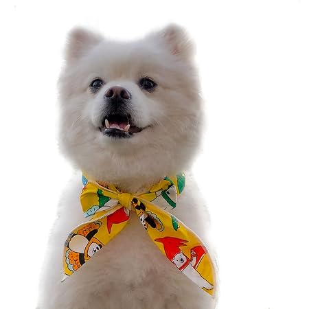 Amazon Shanado 犬用 冷却スカーフ 夏用品 ペット用冷感首輪 かわいい 犬 ネッククーラー キャラクターバンダナ 熱中症対策グッズ ひんやりクール クールダウン 暑さ対策 散歩 お出かけ 小中大型犬 F Shanado ベーシック首輪 通販