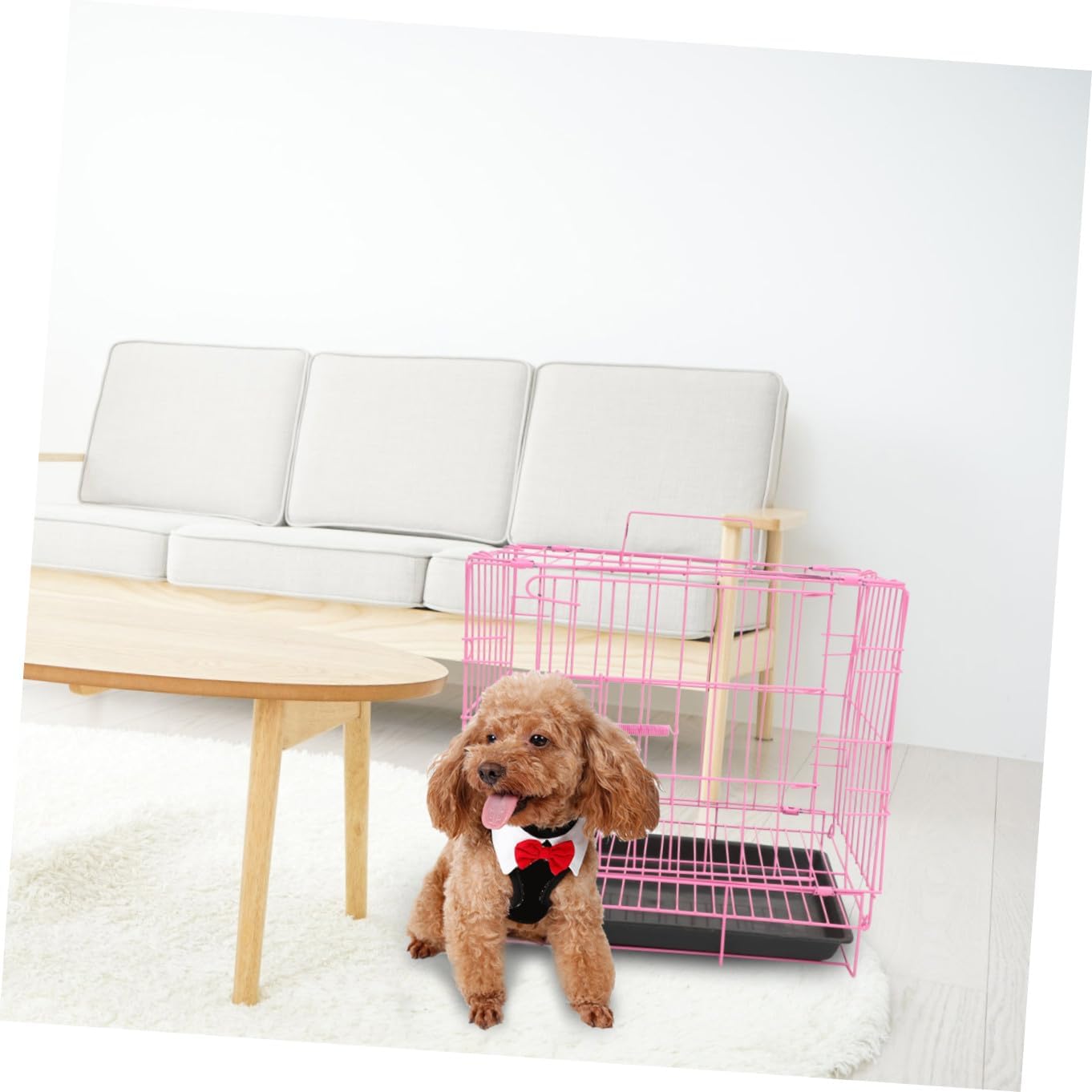 BESPORTBLE Folding Dog Crate Pet Cage Steel Cage House Easy to Carry for Small and Medium Dogs