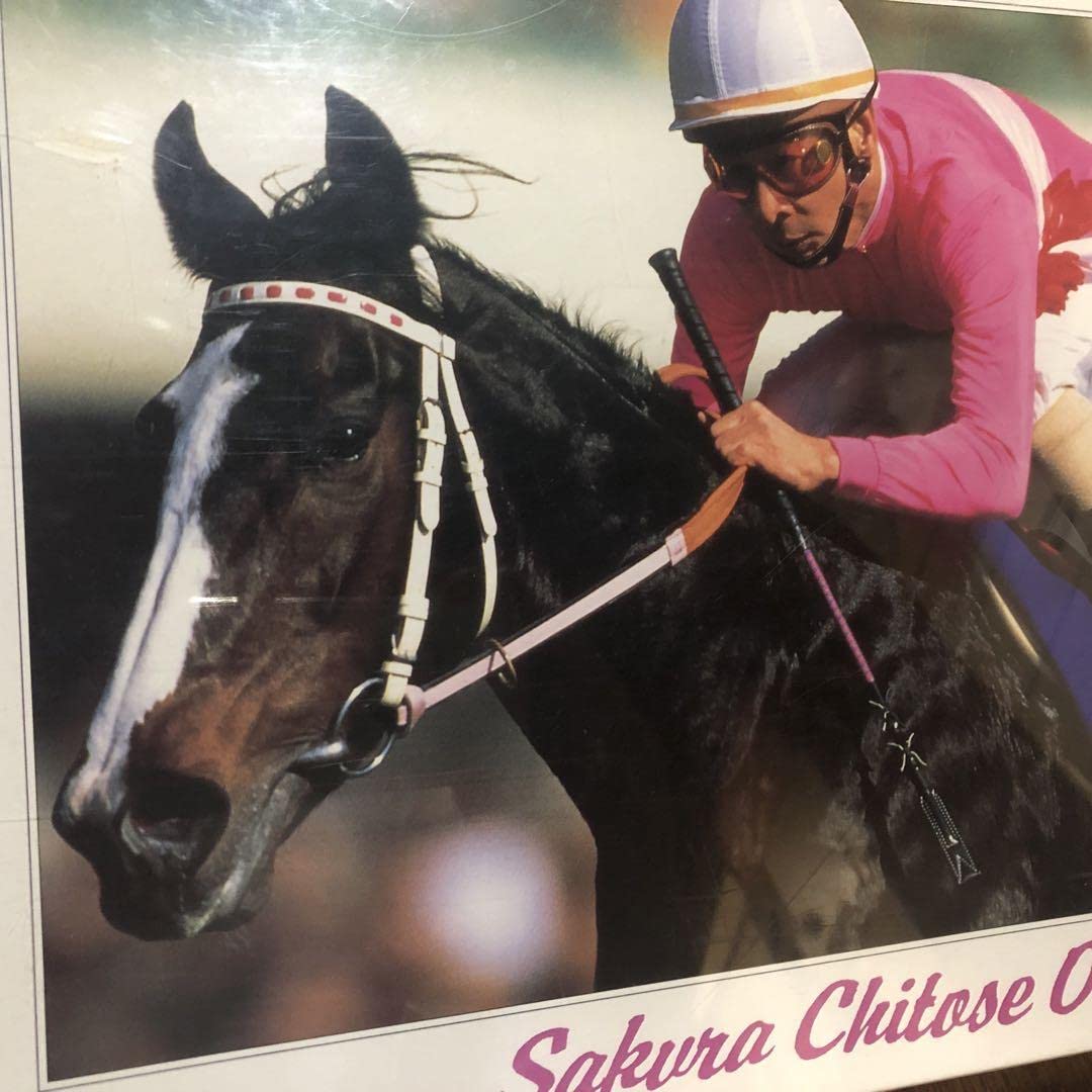 第112回　天皇賞優勝　サクラチトセオー　1995.10.29 第112回 天皇賞(秋) G1 （1995/10/29・東京） サクラチトセオー