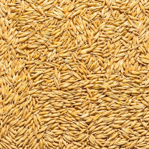 Oat Seed for Growing Non-GMO - Great for Cat Grass Sprouts Planting Cover Crop Food Plot (5 Pounds)