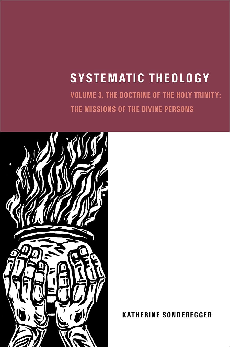 Systematic Theology, Volume 3: The Doctrine of the Holy Trinity: The Missions of the Divine Persons