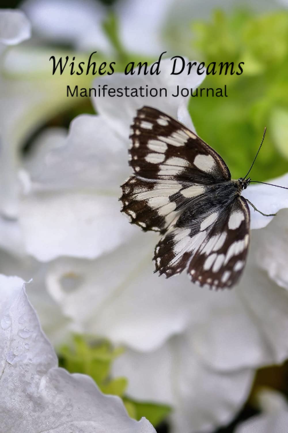 Independently published Wishes and Dreams: Manifestation Journal