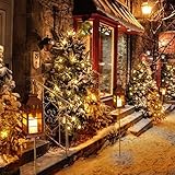 Ulmisfee B086QJJLPC lato 2