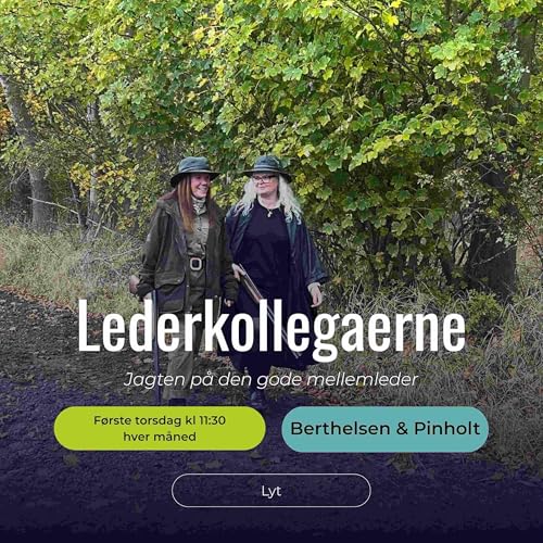 Lederkollegaerne copertina