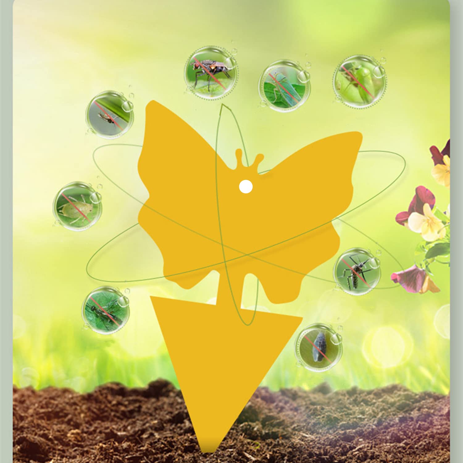 Garden Gardening Plant Protection & Pest Control Insect Control Indoor Insect Control Flies - Image 4