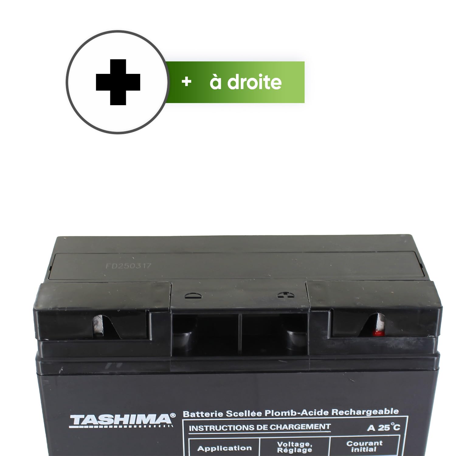 TASHIMA - Batterie 12V 20AH NH1220 Motoculture - Technologie Plomb Étanche Gel Sans Acide - Borne + À Droite - Pour Moteurs Thermiques Type Tracteur, Tondeuse À Gazon Autoportée & Motoculteur