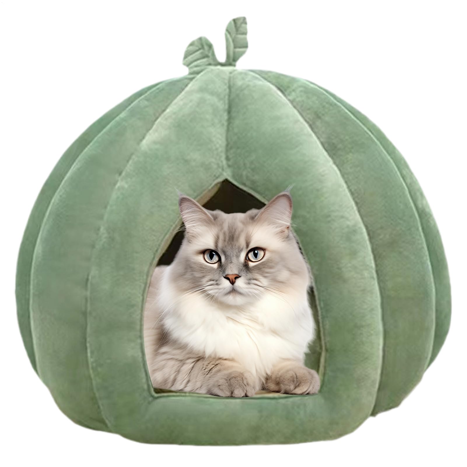 Cuccia per gatti, cuccia per gatti domestici, cuccia per gatti, cuccia chiusa, cuccia per gatti, cuccia per gatti, cuccia per gatti, cuccia per gatti, cuccia per gatti di piccola taglia, inverno, casa
