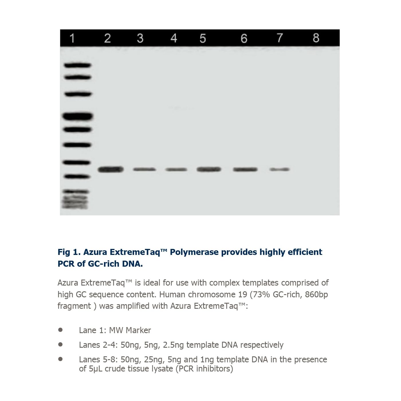 ExtremeTaq HiFi Red Mix 2000 Reactions / 20 x 1.25 mL
