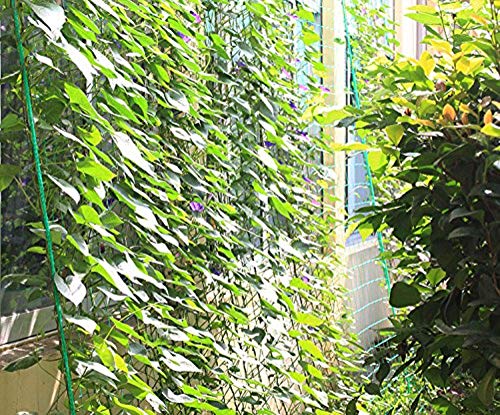 Ez4garden Multi-Purpose PE Plant Trellis Netting Garden Protect Poultry Breeding Anti-Bird Net,6 Strands,Netting Size:W5xL20',Mesh Size:1.18