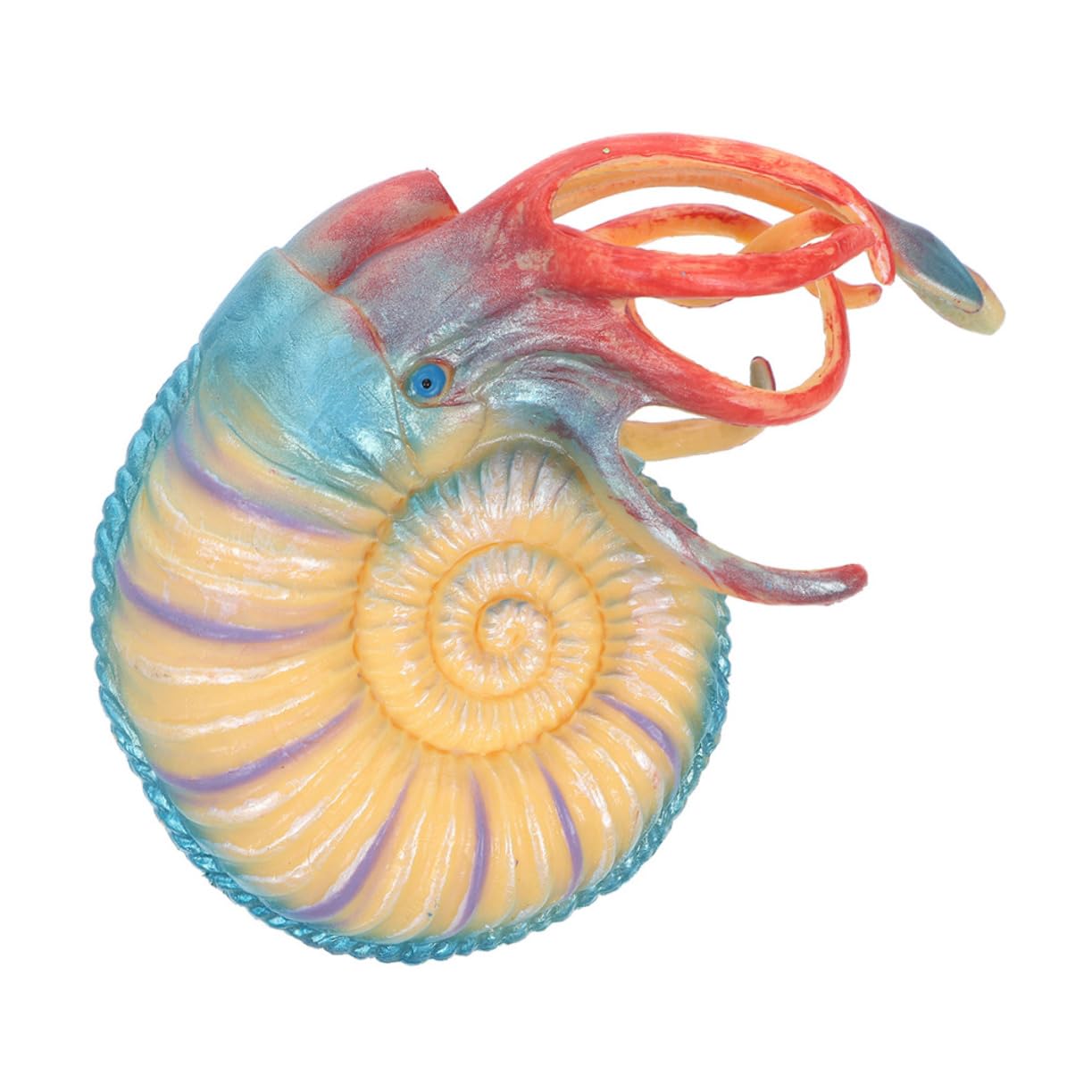 GogogmeeSimulated Nautilus Children's Toys Chidrens Toys Nautilus Model Sea Animals Model Models Children’s Toys Miniature Sea Creatures Nautilus Sea Simulation Marine Animal Ocean Animals