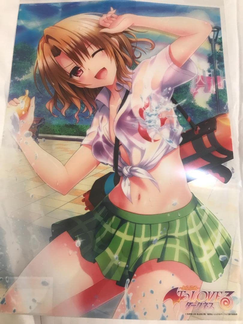 ToLOVEる ダークネス A3クリアポスター 10枚セット ToLOVEるダークネス クリアポスター(A3)アイドルver 9枚セット