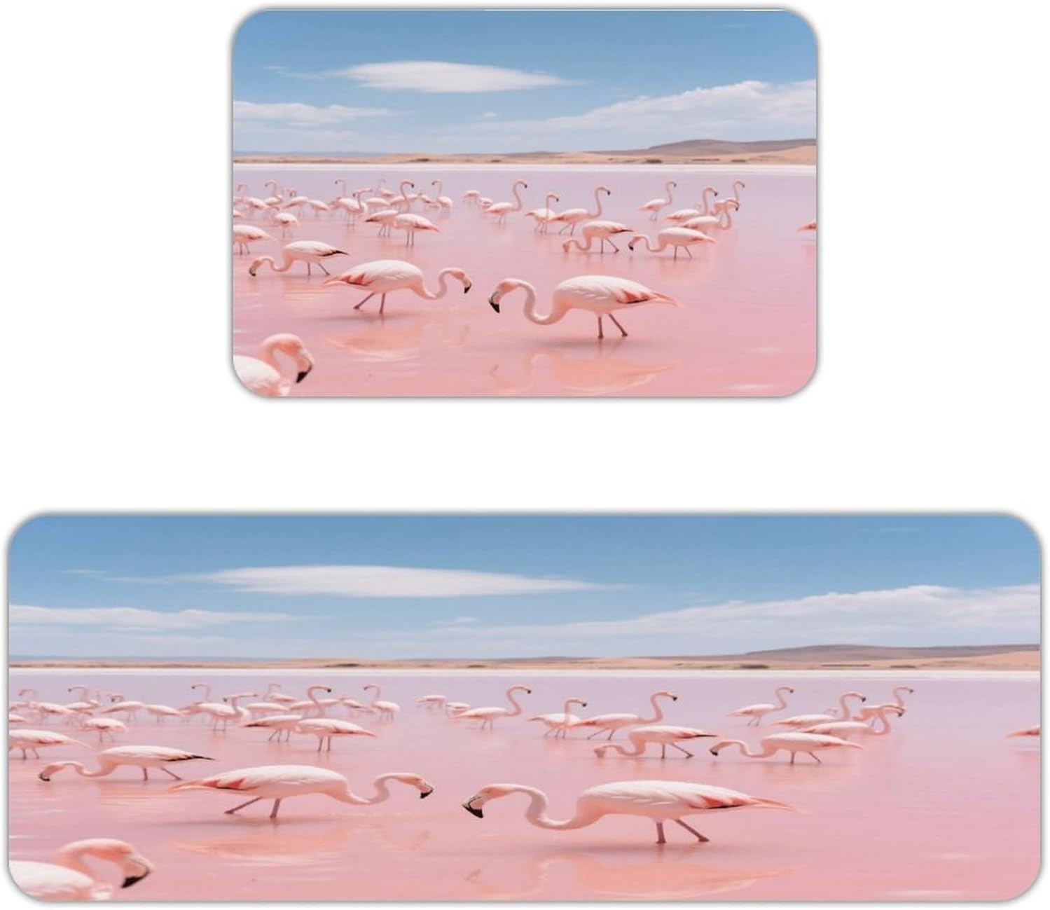 Flamingos of Pink Salt Lake Kitchen Mat Outdoor Rug Area Rug | Kitchen Rug for Washable Non-Slip Breathable for in Front of Sink for Standing for Kitchen,Hallway,and Laundry Decor