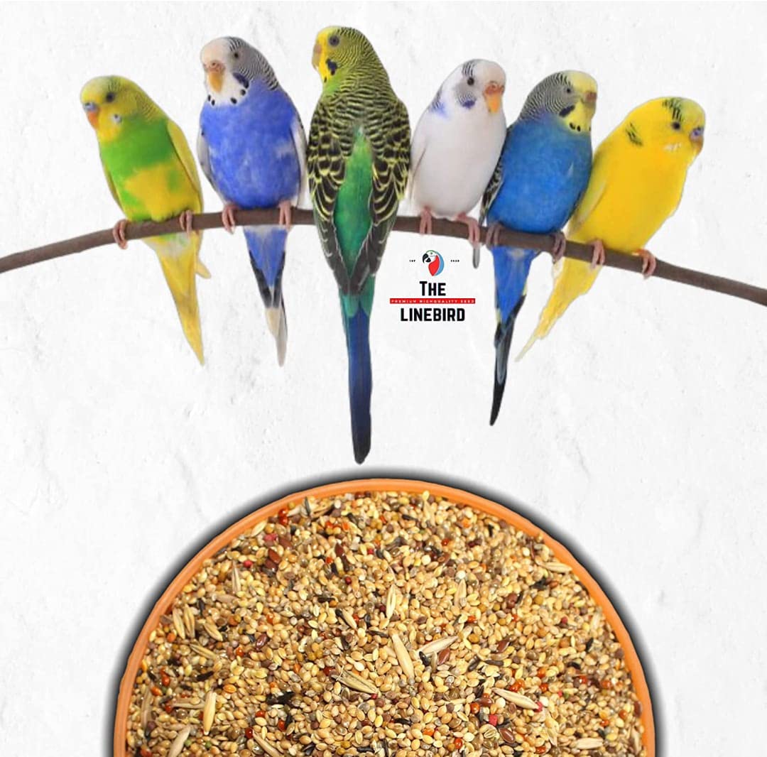 The LINE Bird Budgies Mix Bird Food for Budgies, Finches and Other Small Birds by Ps. (1 KG + 1 KG) (B094TLC2XP) Amazon Price History, Amazon Price Tracker
