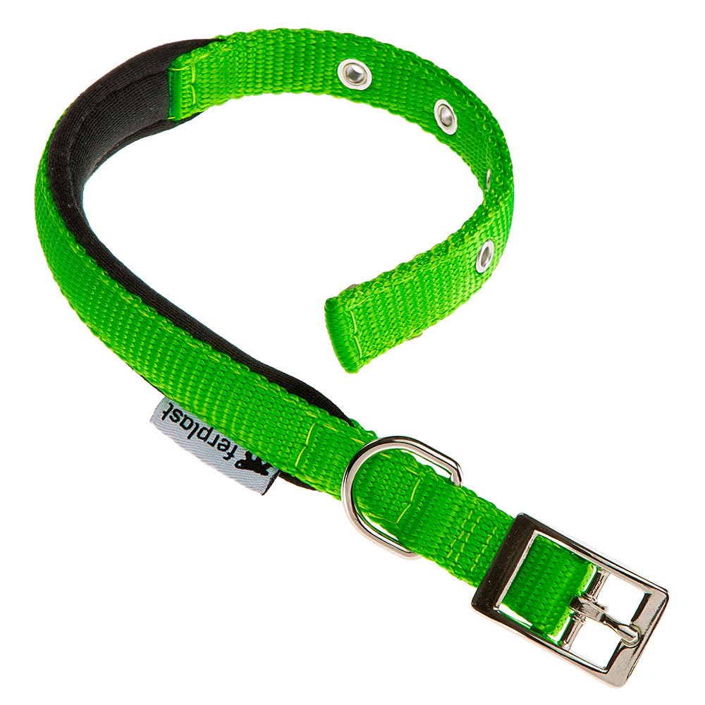 Ferplast Small Dog Collar Adjustable Padded Nylon Dog Collar Metal Buckle, Neck Size 23-31 cm, Green