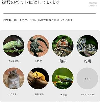 Amazon | TRRCEPOS 爬虫類 ケージ 60-100cm レオパ リクガメ トカゲ