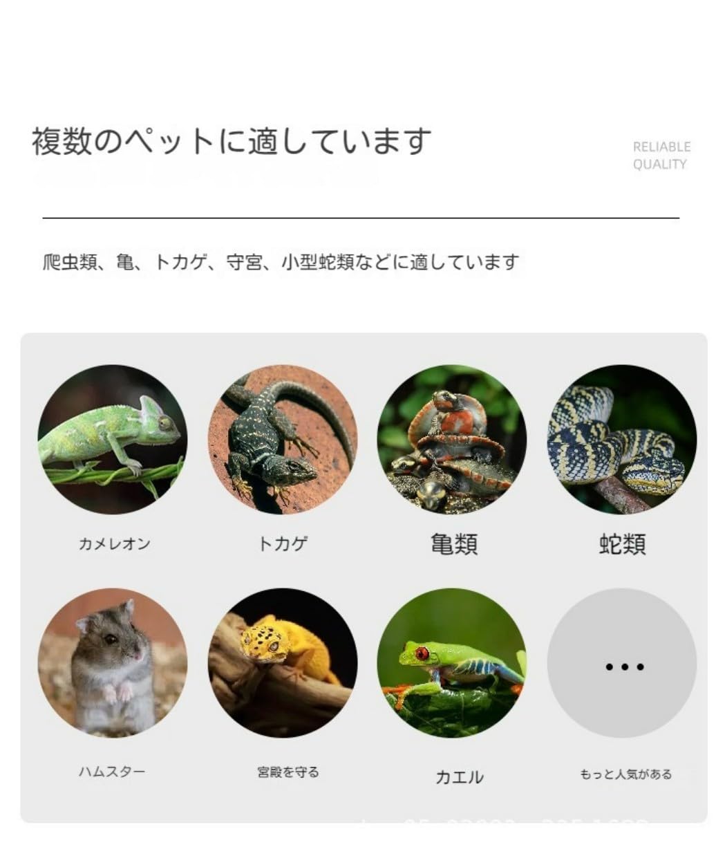 Amazon | TRRCEPOS 爬虫類 ケージ 60-100cm レオパ リクガメ