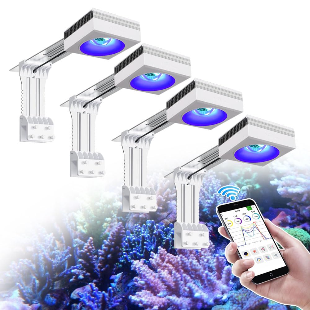Amazon.com : PopBloom RL90 iOS/Android App Control Saltwater Reef