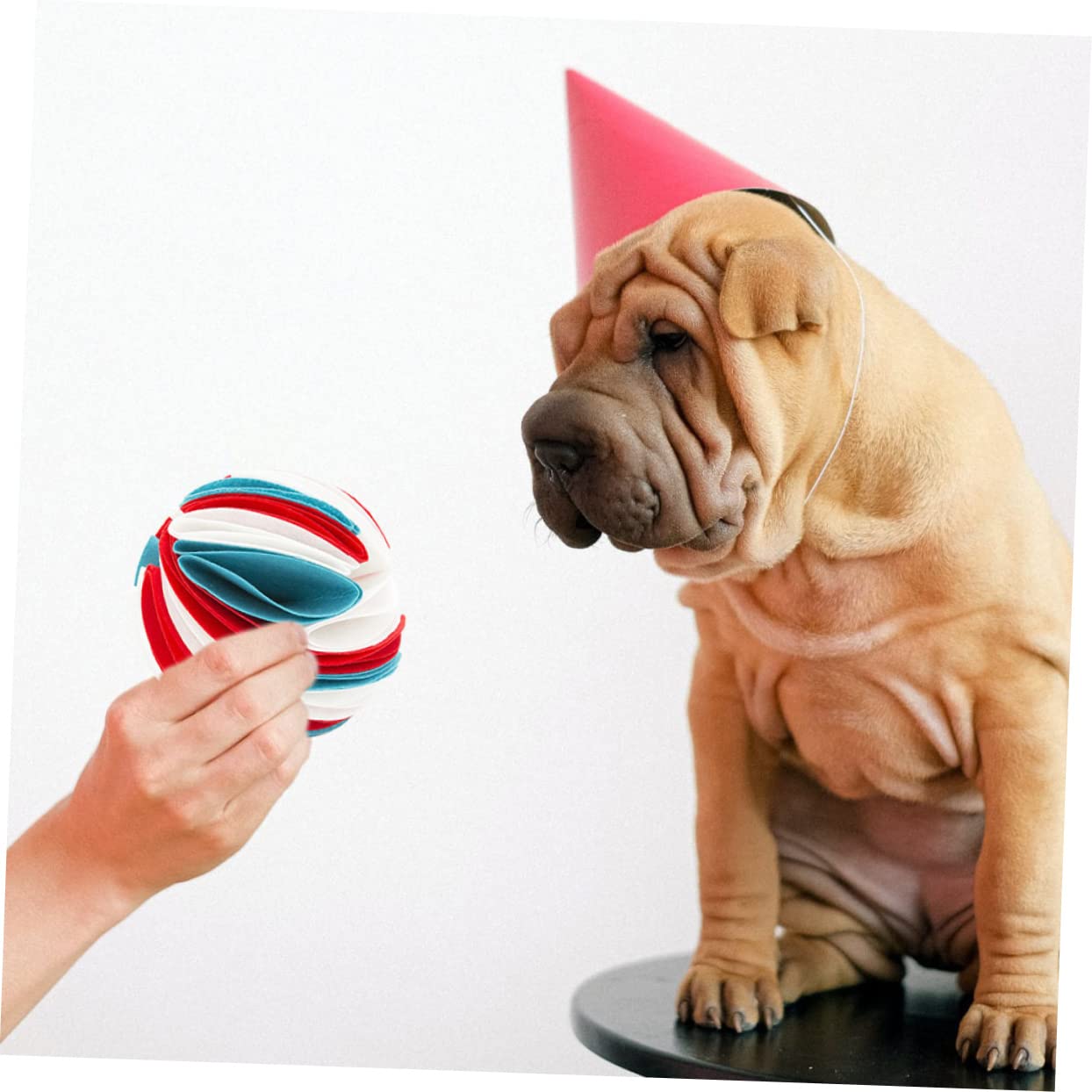 Supvox 3stücke Pet Dog Sniff Toy Interaktives Schnüffelspielzeug Für Welpen Buntes Kauspielzeug Aus Sicherem Material Langsame Futterzufuhr Für Drinnen Und Draußen