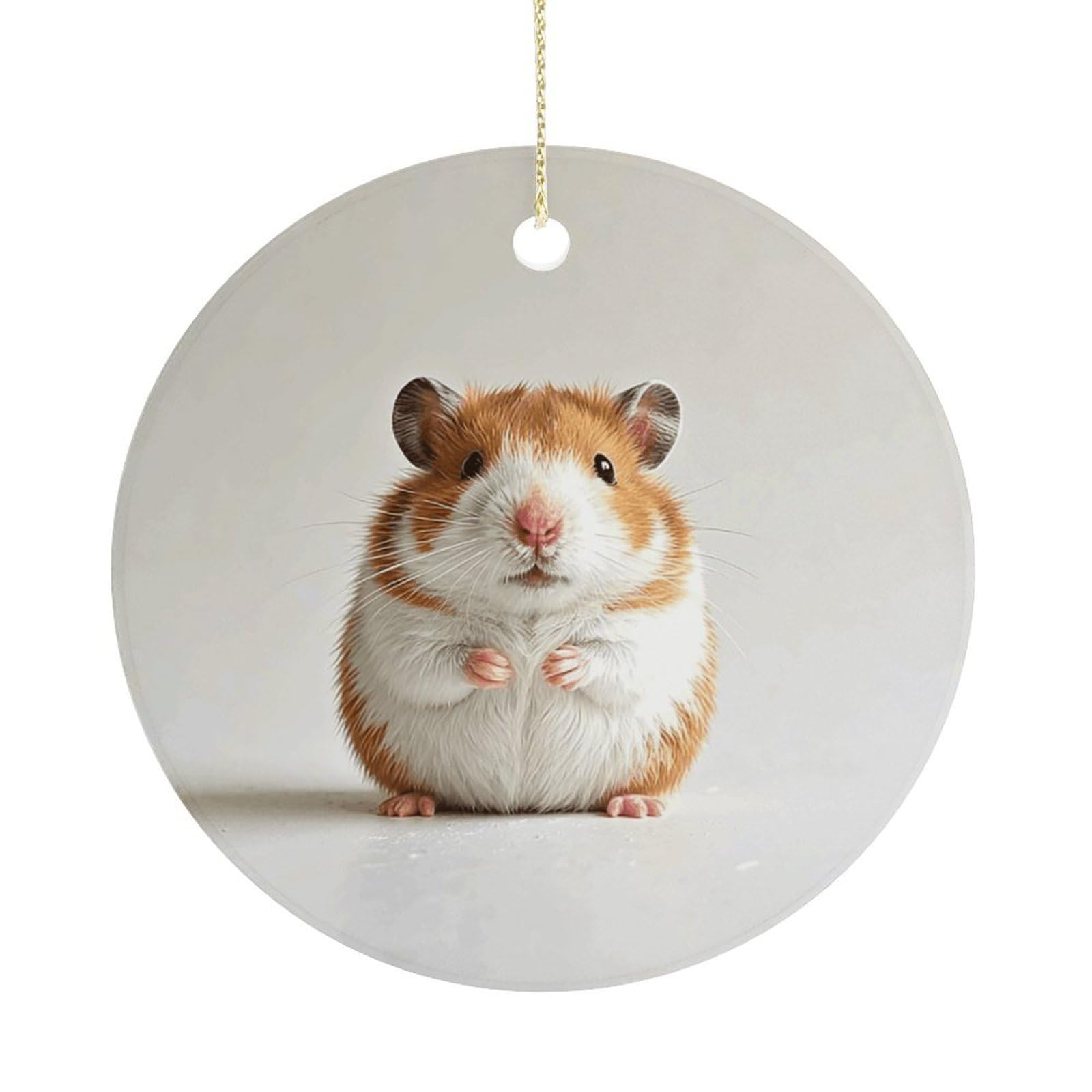 Personalized Christmas Ornaments 2025 Ceramic Hanging Hedgehog Ornaments with Gold String Double-Sided Vintage Holiday Decorations for Tree Mantel Tabletop Xmas Party Favors
