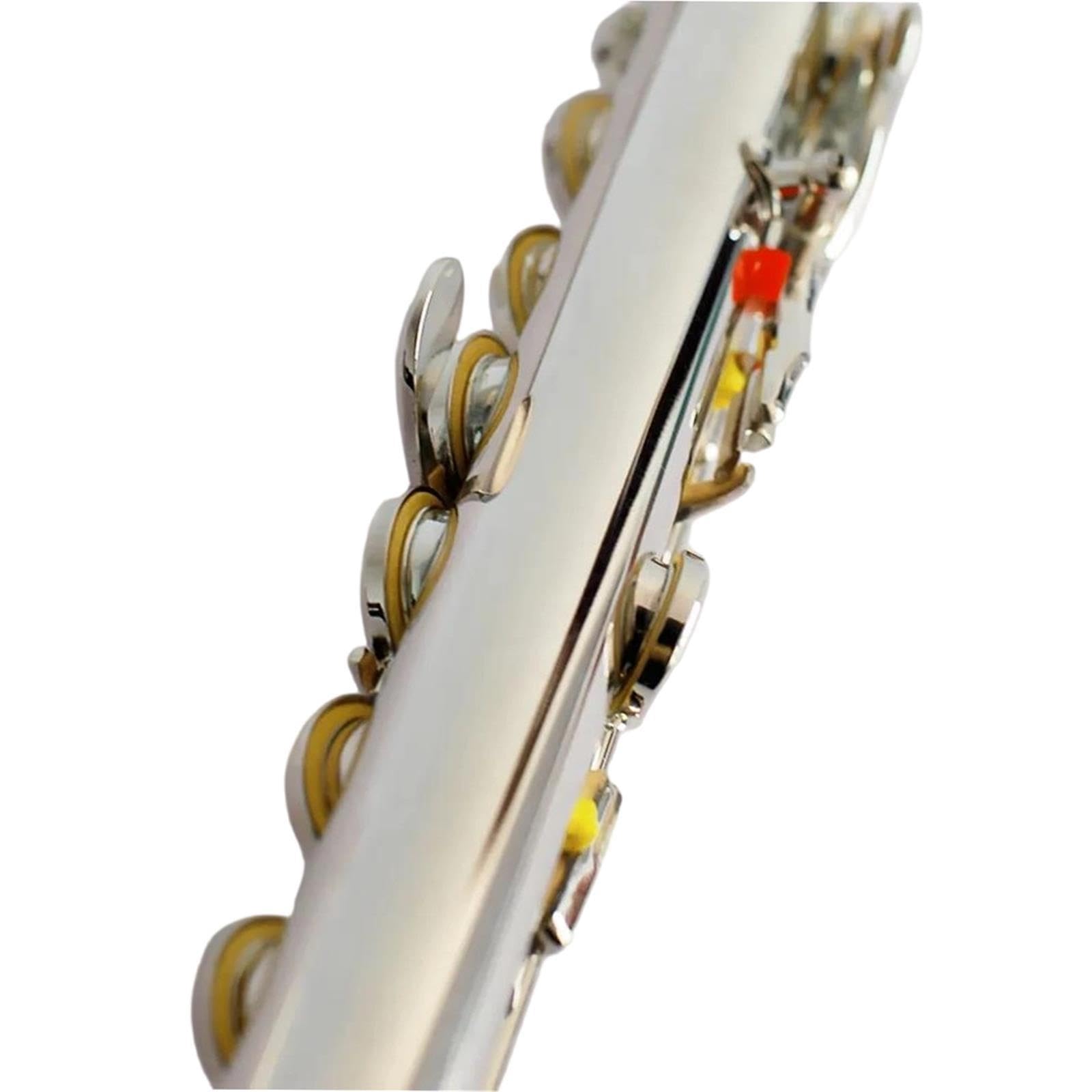 Flute Instruments Flauta Profesional