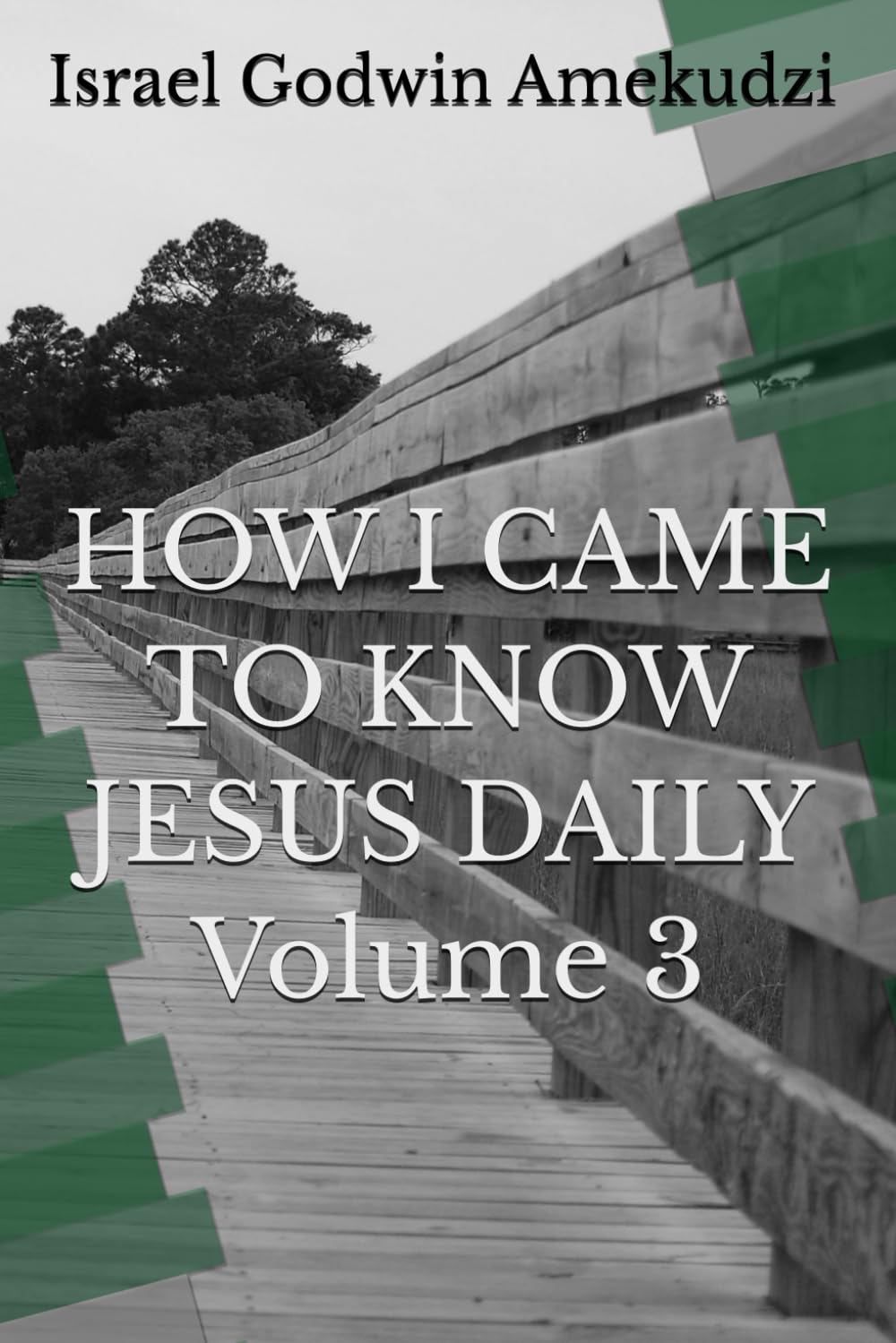 HOW I CAME TO KNOW JESUS DAILY Volume 3