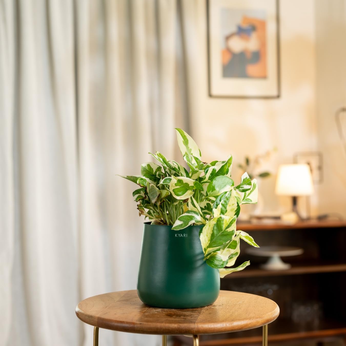 KYARI Money Njoy Indoor Plant for Living Room | Live Plants | Plants with Green Aura Self Watering Pot for Home | Office Plants | Plants for Home Decor (B0DCNSNTYF) Amazon Price History, Amazon Price Tracker