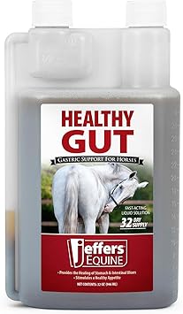 Jeffers Healthy Gut Horse Gastric Support Liquid Digestive Supplement for Horses Prone to Ulcers, Easy to Feed Formula, Supports Gut Comfort & Balanced Digestion 32 oz 32 Day Supply