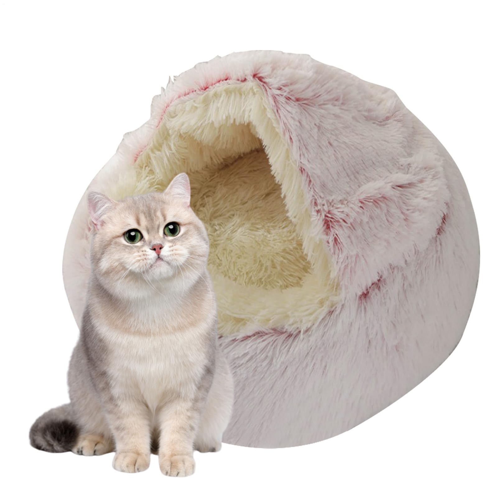 Cuccia per gatti | per gatti chiuso e calmante per animali di | piccola taglia – Cuccia per gatti lavabile in lavatrice soffice cuccia per gatti rimovibile per cani di grossa taglia, gattin