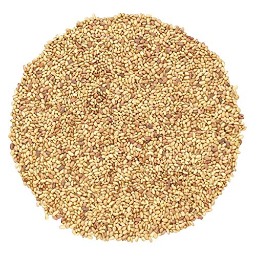 Organic Alfalfa Sprouting Seeds, 15 Pounds - Non-GMO, Kosher, Raw, Vegan, Bulk