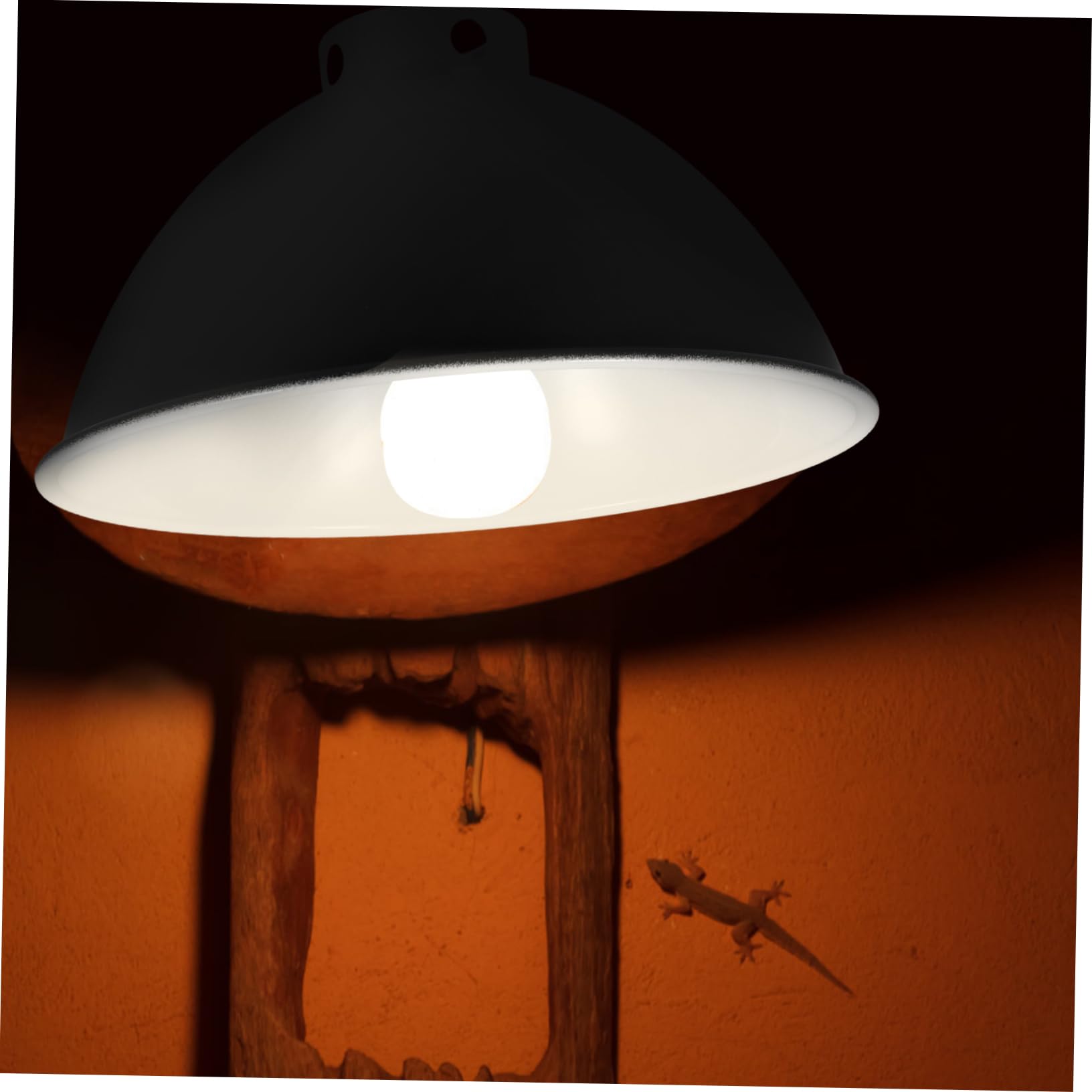 Alipis 3pezzi Paralume Per Lampada Riscaldante Per Rettili Design Riflettente Compatibile Con Lampade Per Lucertole e Tartarughe Massimizza Utilizzo Luce e Calore Resistente e Facile Da