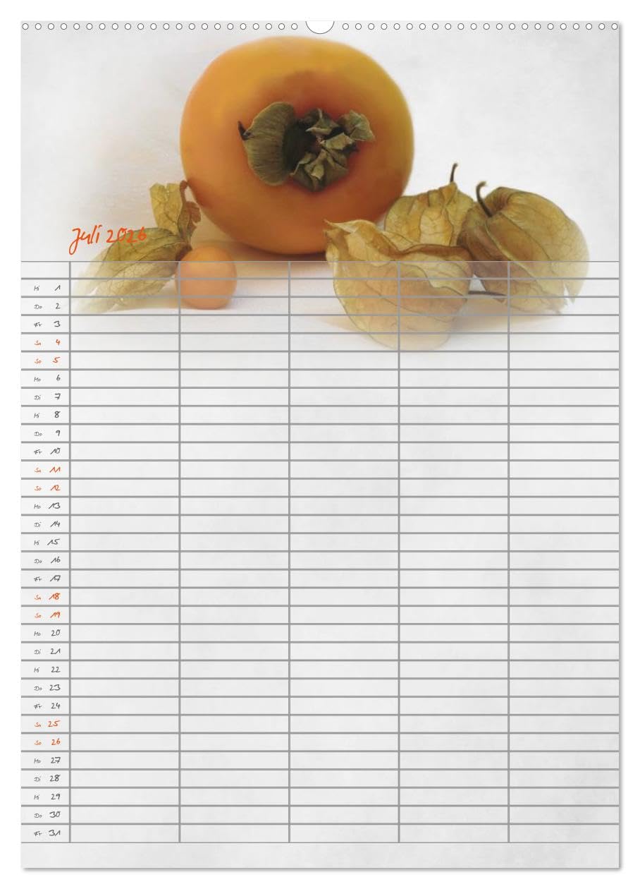 Familienplaner für die Küche. (hochwertiger Premium Wandkalender 2026 DIN A2 hoch), Kunstdruck in Hochglanz