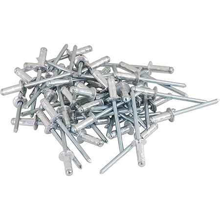 Amazon Co Jp ロブテックス エビ パック入りブラインドリベット 100本入 アルミ スティール 4 2 Nsa42p 産業 研究開発用品