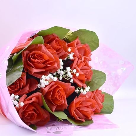 The Blooming Rose: An Enchanting Display of Magic and Romance