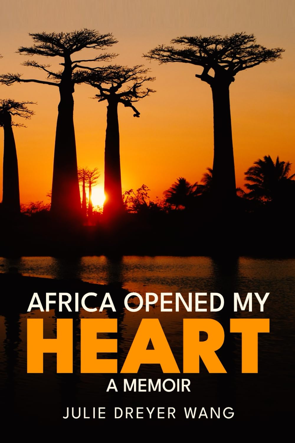 Africa Opened My Heart: A Memoir