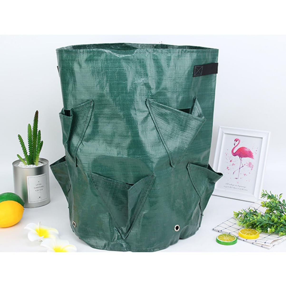 TOYANDONA 2 Series Bolsa Plantas PE Jardín Y Resistente Y Reutilizable Fresas Y Verduras 2 Piezas*2