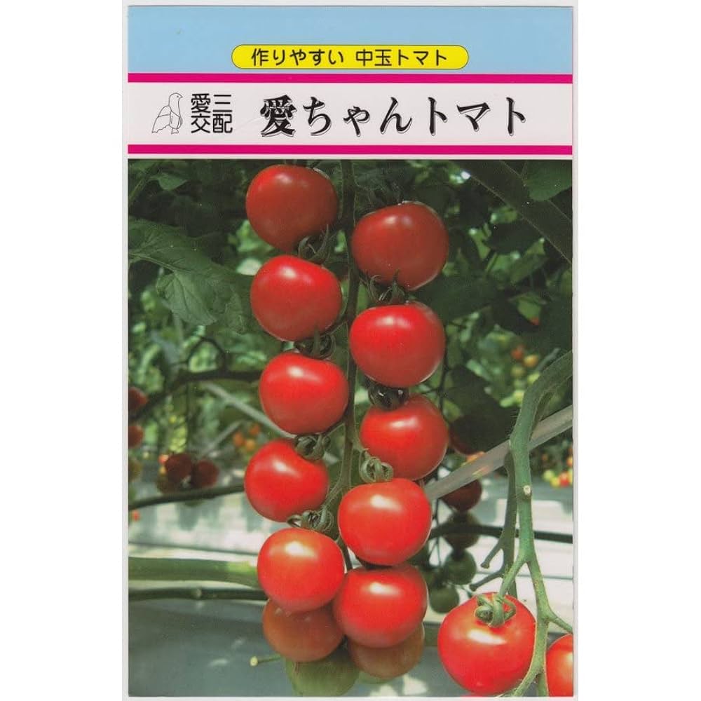 中玉トマト 愛ちゃんトマト 愛三種苗 種 タネ SEED ※海外持ち出し禁止 中玉トマト 愛ちゃんトマト 愛三種苗 種 タネ SEED ※海外