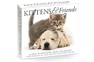 Gladstone Media, Kittens & Friends 2024 Desk Calendar: 365 Cats Page-A-Day Calendar...