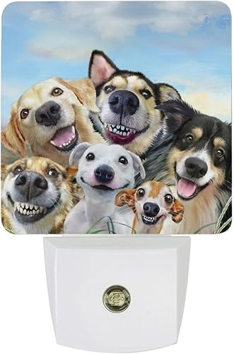 Bonita luz nocturna para perro, luces nocturnas enchufables para decoración de pared, para dormitorio, baño, pasillo, cocina, con luz del atardecer