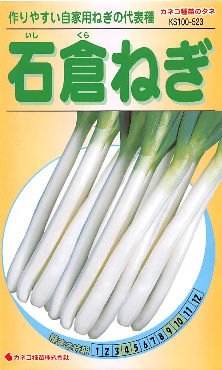 【ながねぎ】 Amazon | カネコ種苗 園芸・種 KS100シリーズ 石倉ねぎ 野菜100