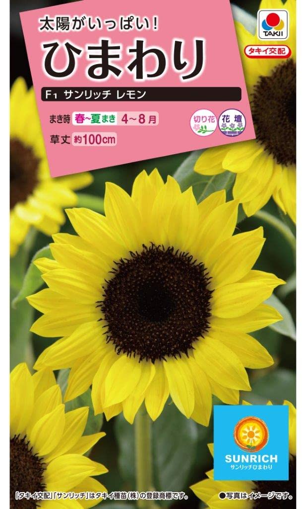 Amazon | タキイ種苗 ひまわり サンリッチレモン | 野菜
